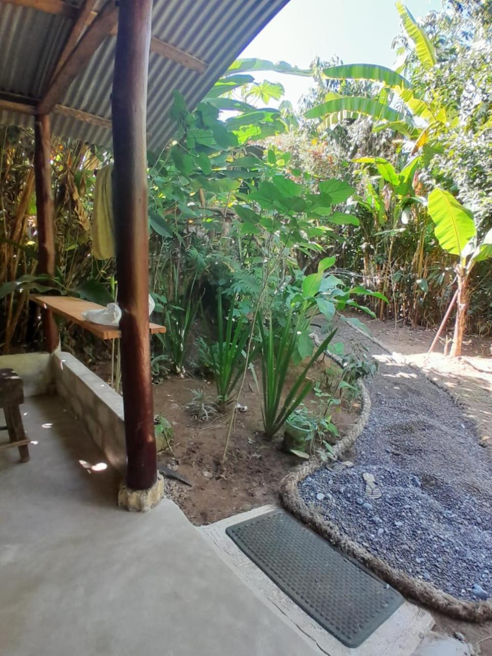 Los Paniquines Ecolodge Drakes Bay Dış mekan fotoğraf